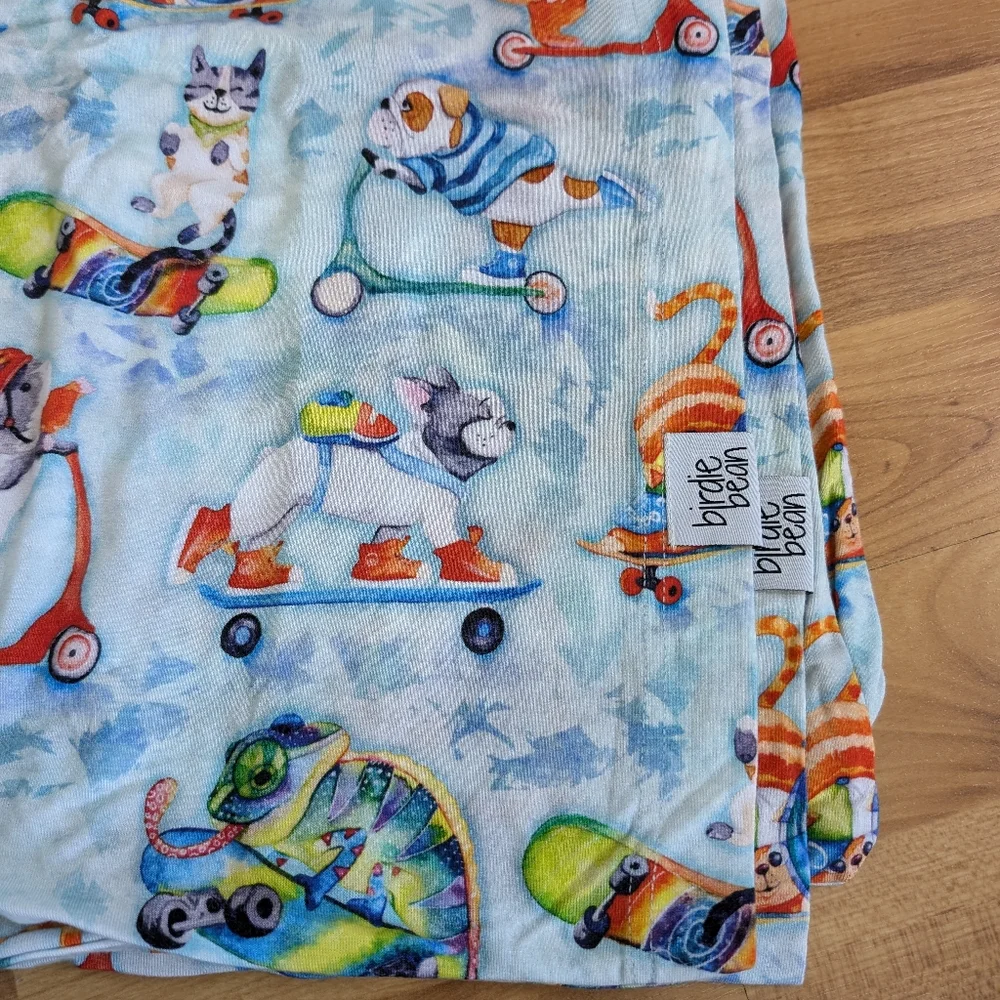 NWOT Birdie Bean Set Skateboard Pets Bamboo Pillow Case Brody